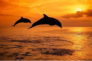 《喋血复仇》首发时需要全程联网 DLC可和好友共享